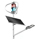 Wind Solar Hybrid solar street light